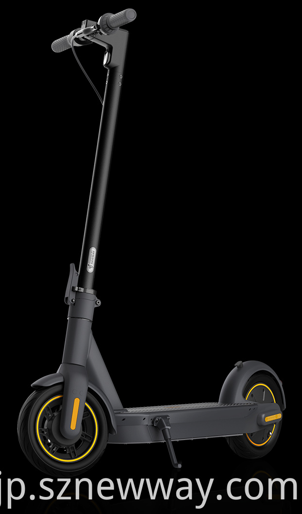 Ninebot Electric Scooter